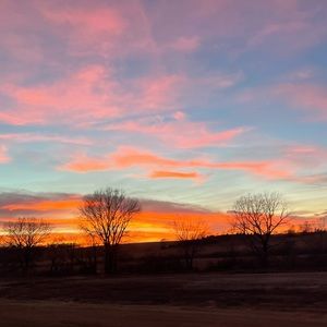 Meet your Posher, Hayden